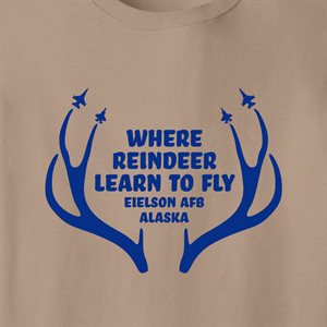 T / REINDER LEARN EIELSON AFB @