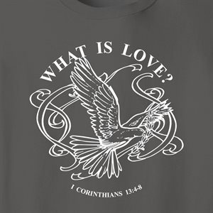 T / WHAT IS LOVE DOVE
