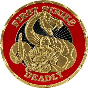 COIN-MARINES FIRST STRIKE DEADLY USMC