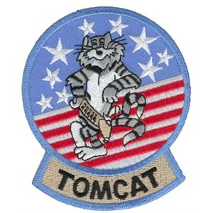 F-14 TOMCAT 3.5"
